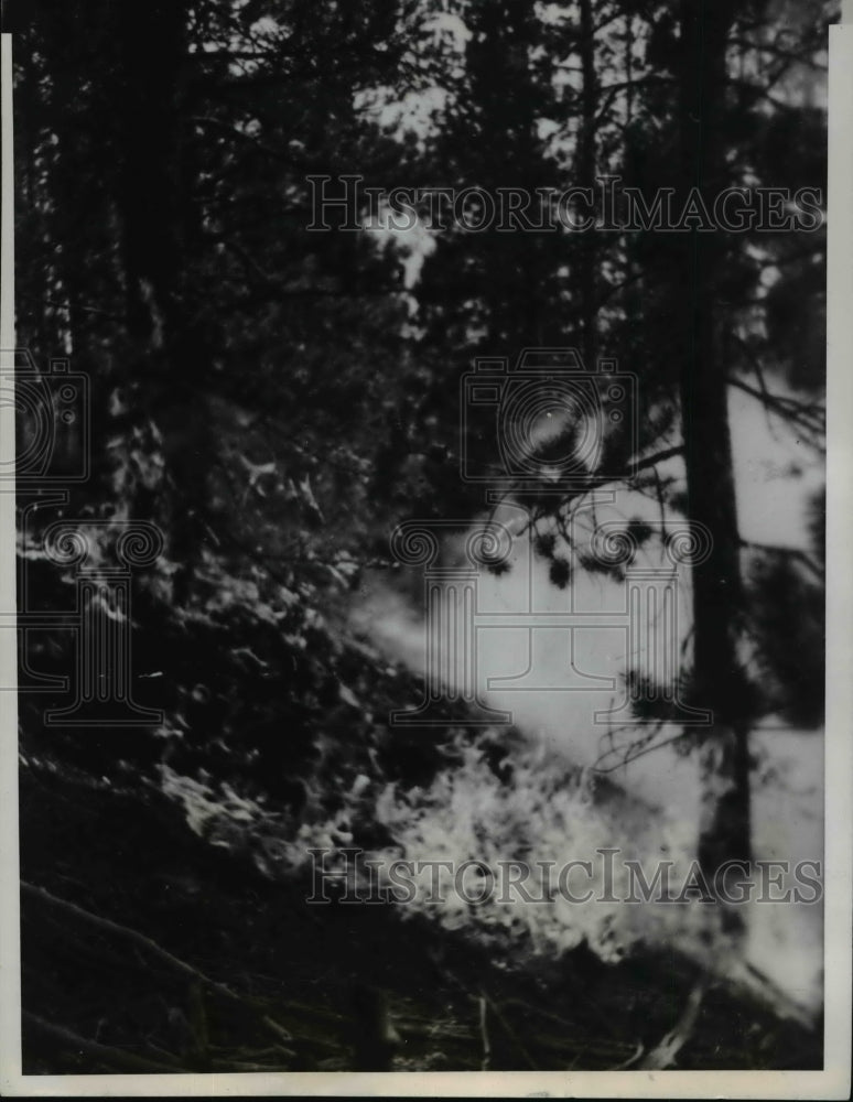 1939 Press Photo Forest Fire on Yankee Blade Fill, Leadville, Colorado