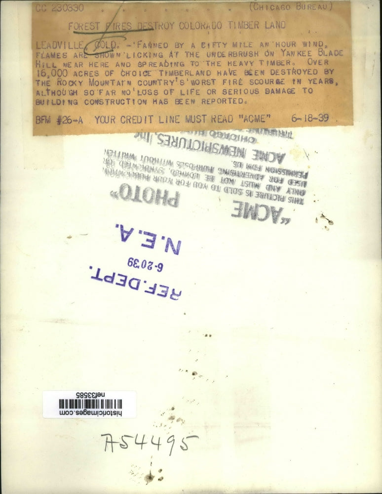 1939 Press Photo Forest Fire on Yankee Blade Fill, Leadville, Colorado