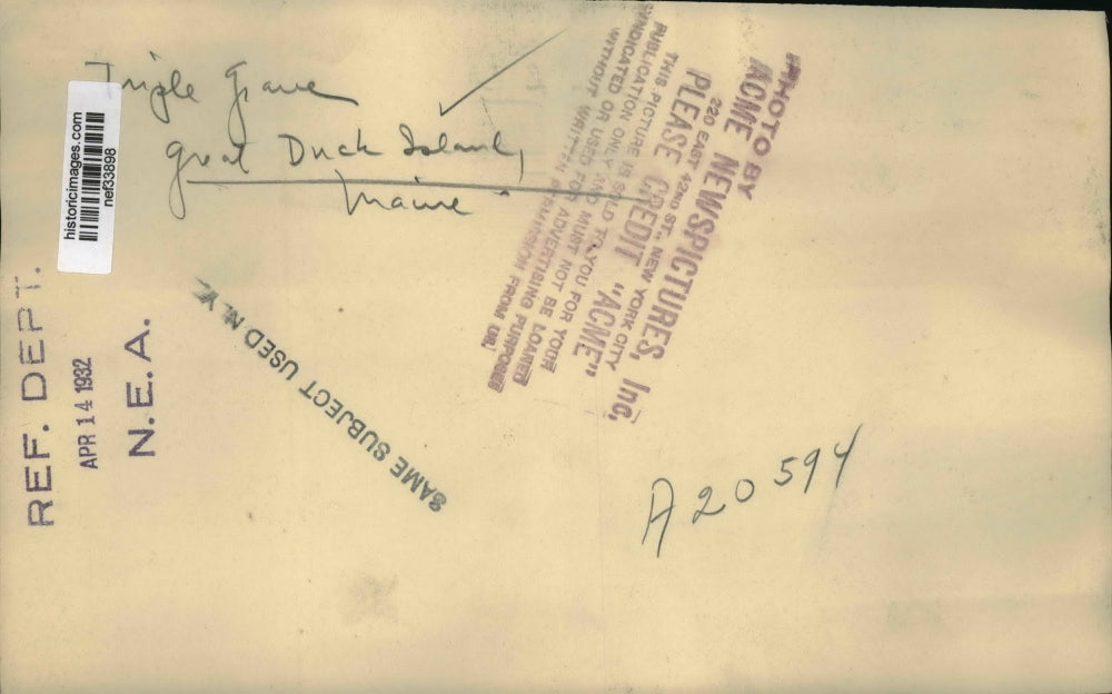 1932 Press Photo Triple Grave at Great duck Island, Maine - nef33898