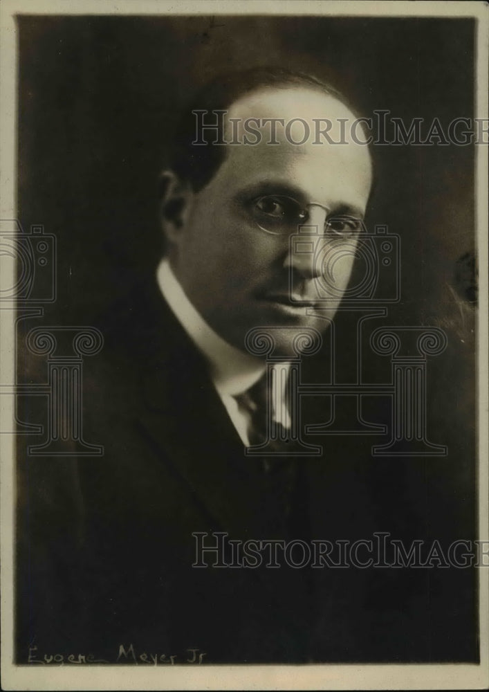 1918 Press Photo Financer Eugene Meyer - nef34248