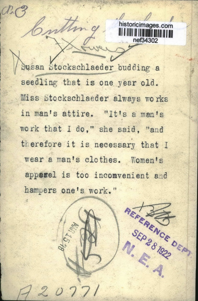 1922 Press Photo Susan Stockschlaeder Budding Seedling on Farm - nef34302