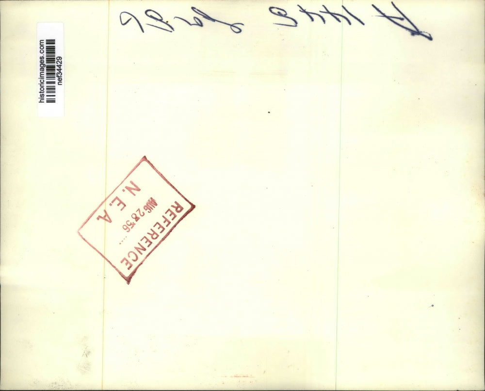 1956 Press Photo Dwight Eisenhower w Balloons at Republican National convention