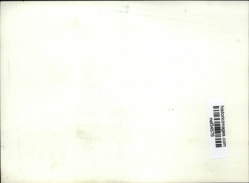 Load image into Gallery viewer, Press Photo Susan Ries Lukas, Author - nef34576
