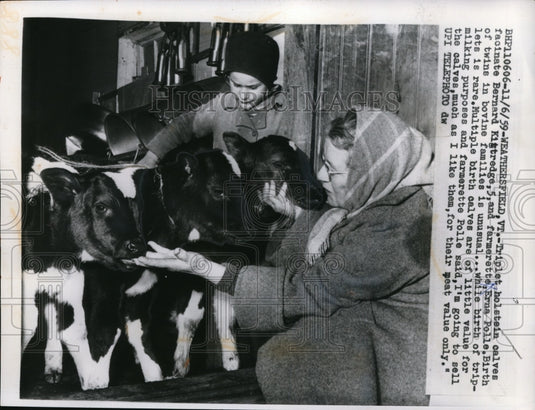 1959 Press Photo Triplet Holstein Calves Fascinate Bernard Kigtrede & Erna Polle