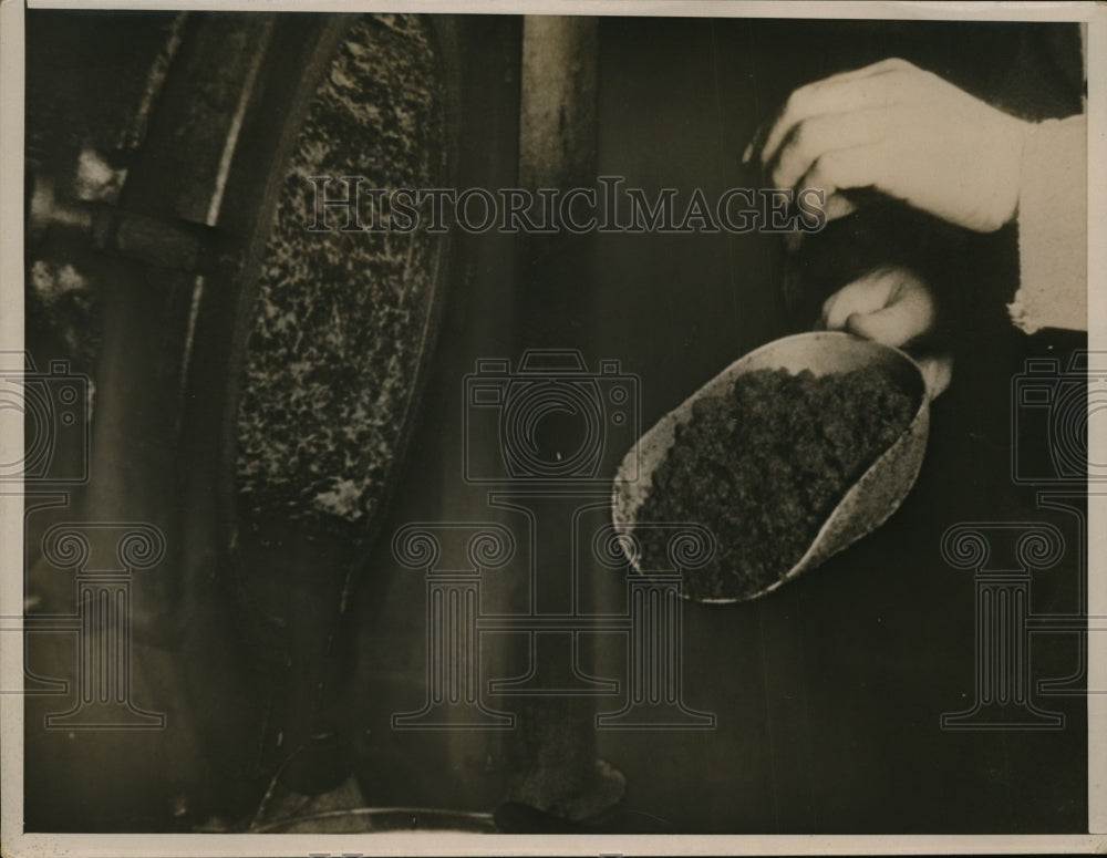 1937 Press Photo Powdered legume -"hydrolyzed wood" after digestion in kettle
