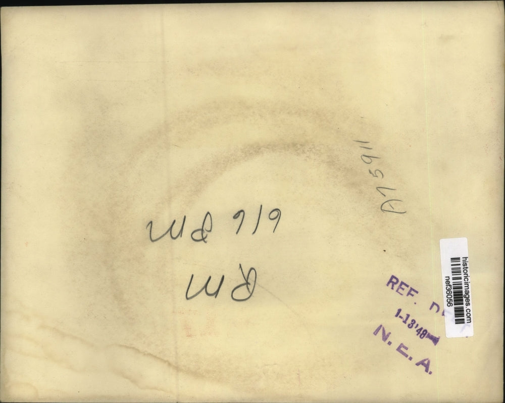 1948 Press Photo Warren R. Austin directs a conciliatory appeal for cooperation