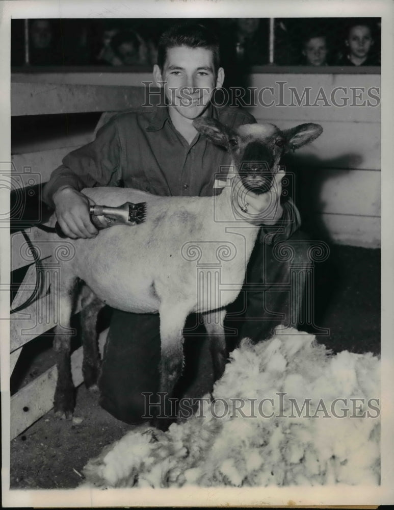 Load image into Gallery viewer, 1949 Press Photo Clint Reeves at 4-H Sheep-Shearing Competition - nef38239
