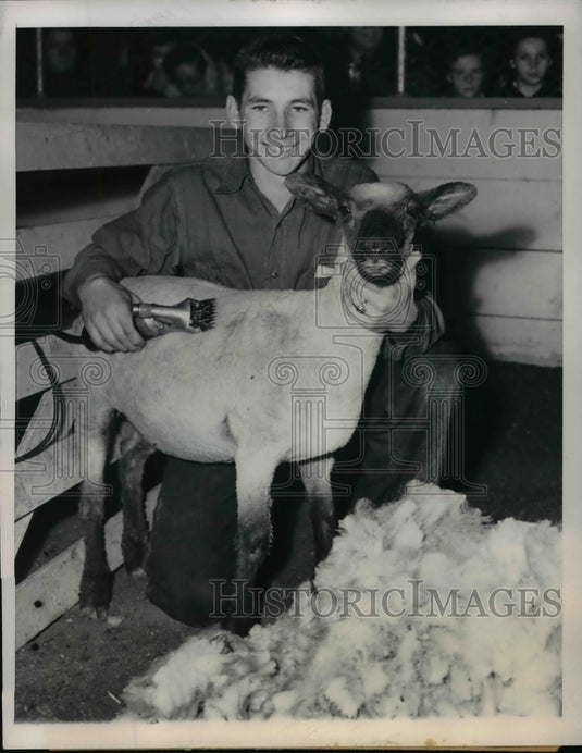 1949 Press Photo Clint Reeves at 4-H Sheep-Shearing Competition - nef38239