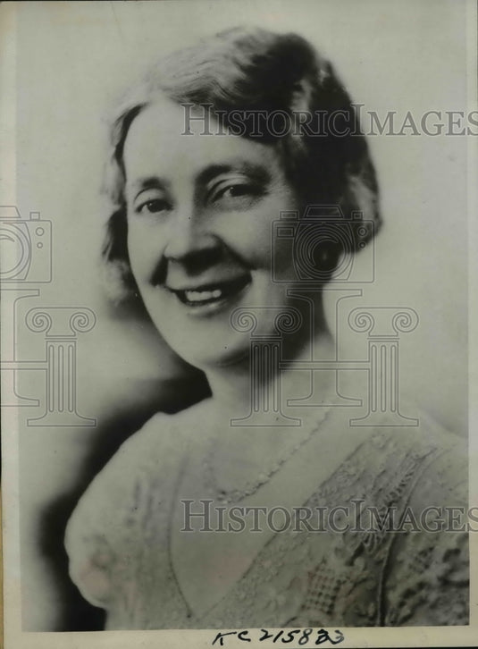 1933 Press Photo Mrs. L.A. Pearson Spearheads Cause of Debt Burdened Farmers