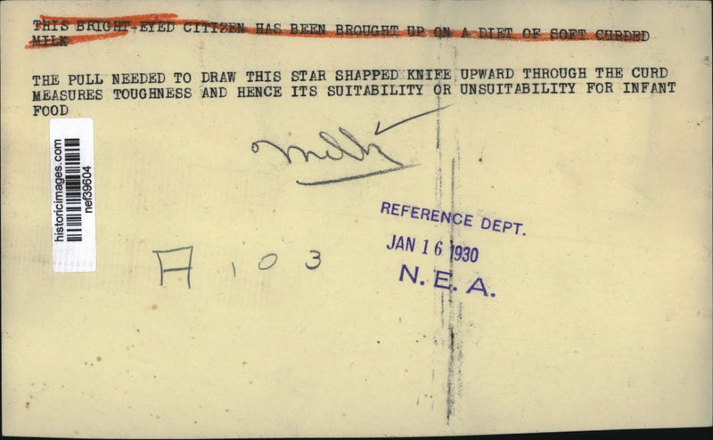 Load image into Gallery viewer, 1930 Press Photo Measures toughness and its hence suitability for Infant Food
