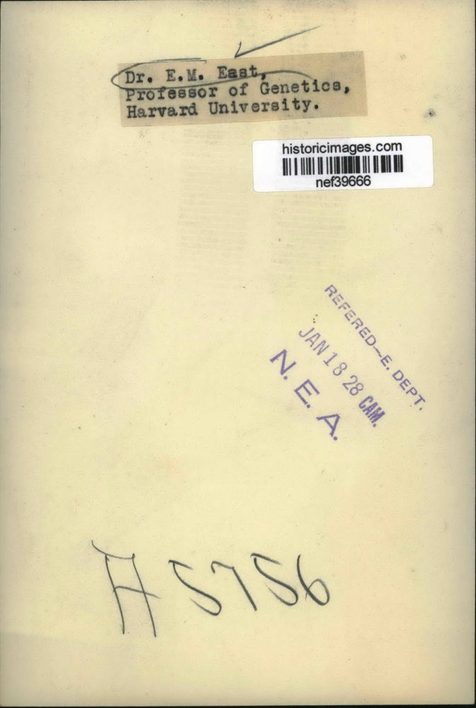 1928 Press Photo Dr. E.M. East, Professor - nef39666