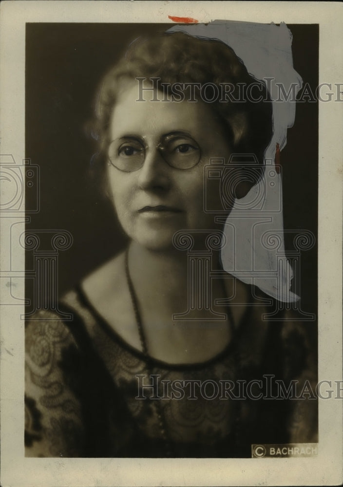 1927 Press Photo Mrs. J. W. Ellins, State Chairman Living Costs Committee, Ohio