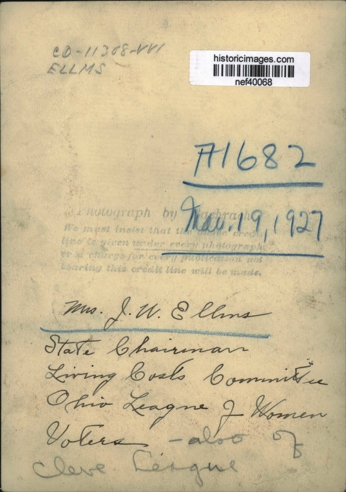 1927 Press Photo Mrs. J. W. Ellins, State Chairman Living Costs Committee, Ohio