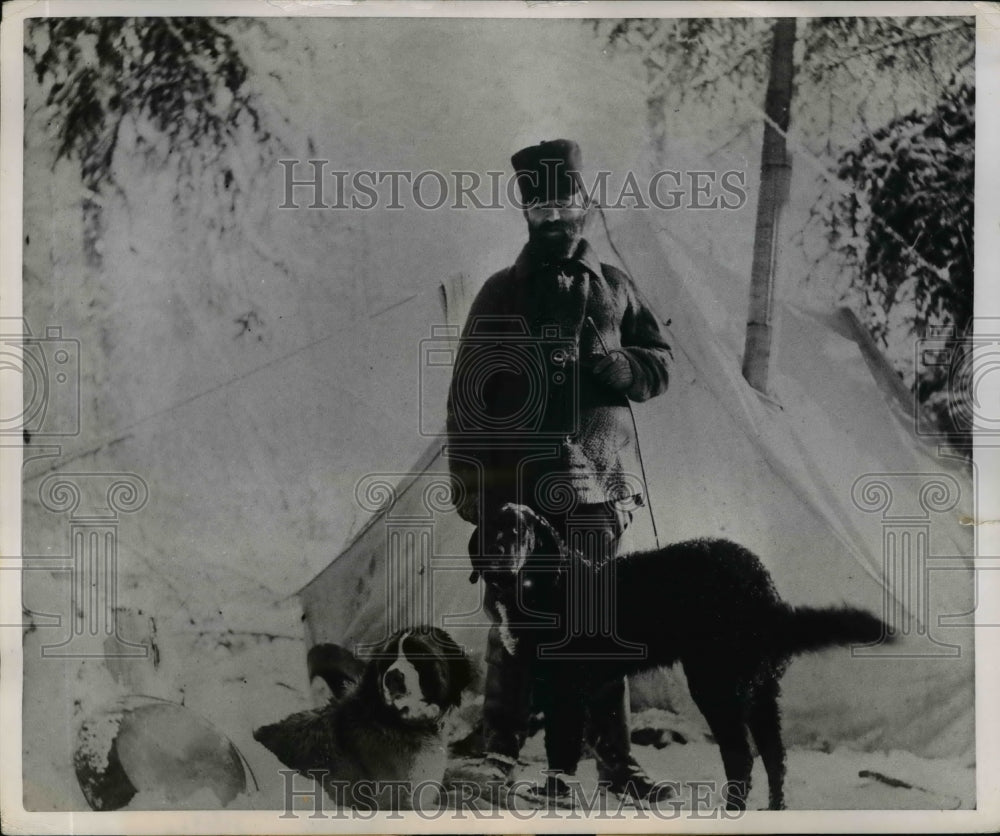 1952 Press Photo Bearded Prospector with His Two Dogs Outside Tent He Lived In