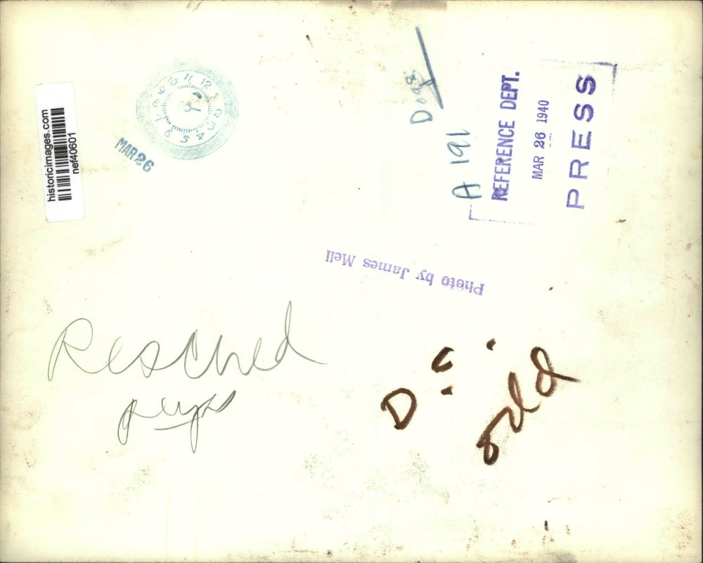 1940 Press Photo Rescued Dogs - nef40601