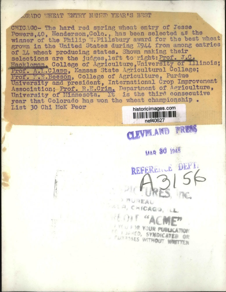 1948 Press Photo Judges for Philip W. Pillsbury Award for Best Wheat, Chicago