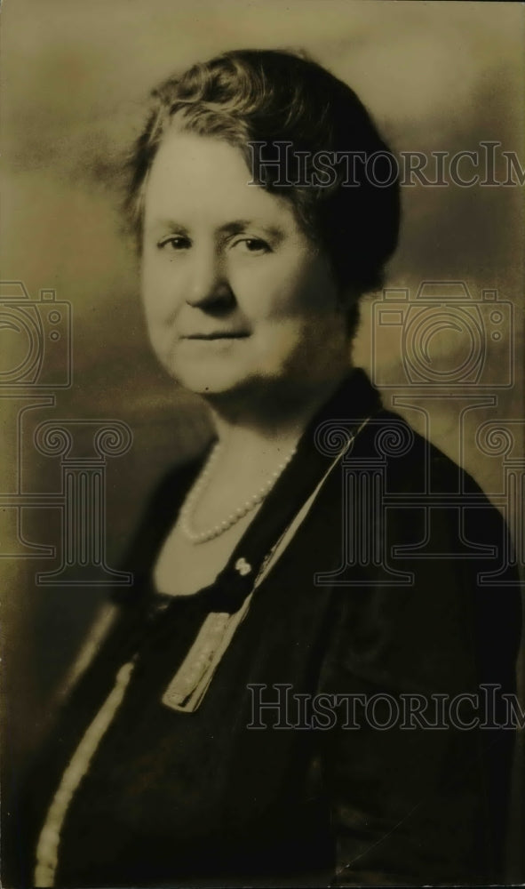 1929 Press Photo Nelle G. Burger Assistant Recording Secretary of National WCTU