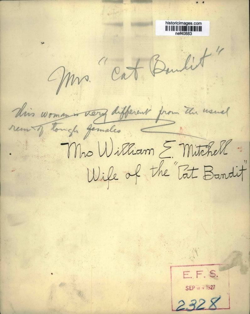 1927 Press Photo Mrs. William E. Mitchell Wife of the Cat Bandit - nef40883