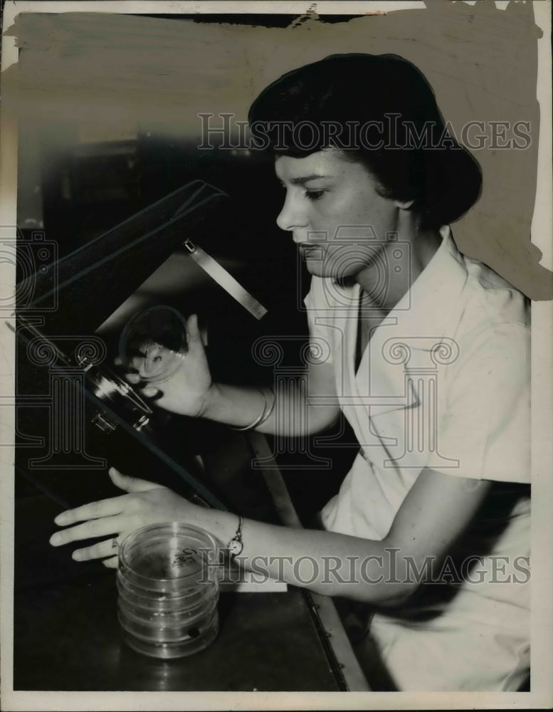 1949 Press Photo Frances Crawford, Bacteriologist - nef40950