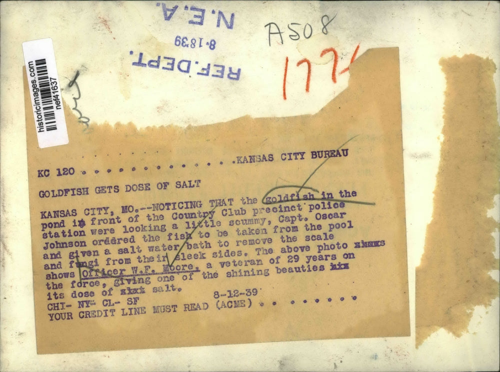 1939 Press Photo Officer W.F.Moore Giving Goldfish Their Dose of Salt