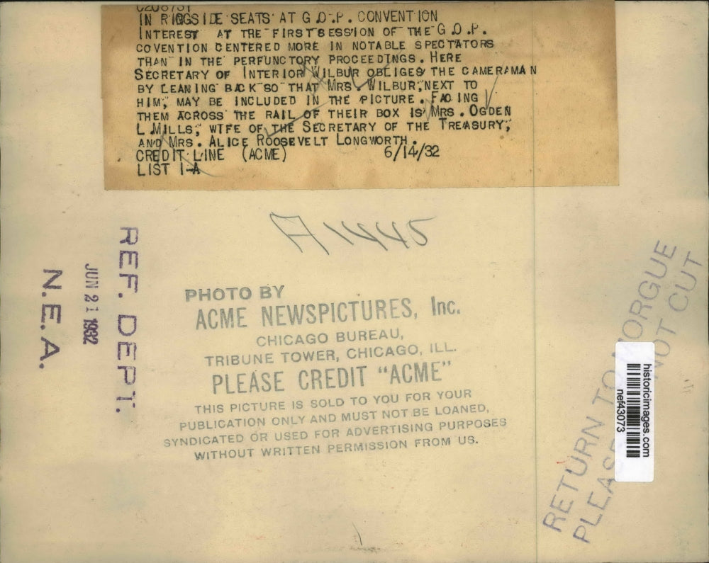 1932 Press Photo Delegates at GOP Republican National Convention - nef43073