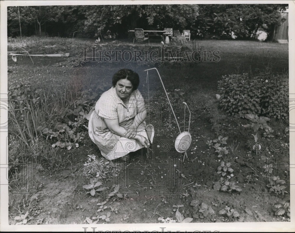 1966 Press Photo Mrs Pauline Stepic - nef43597