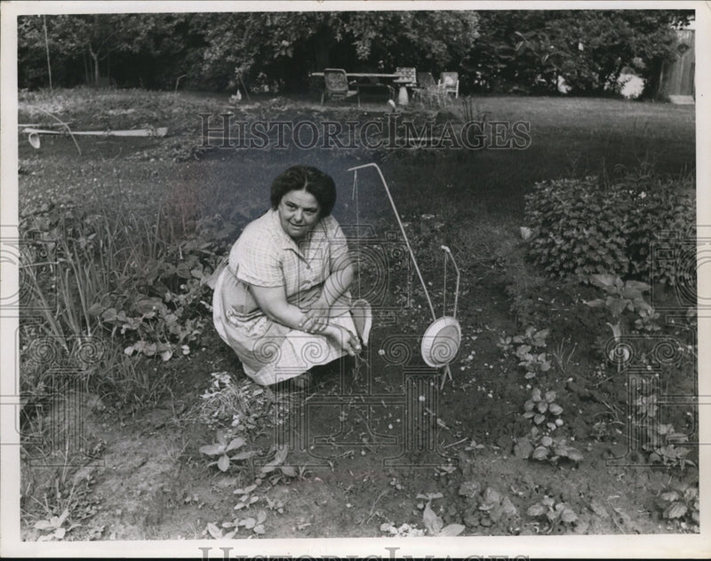 Load image into Gallery viewer, 1966 Press Photo Mrs Pauline Stepic - nef43597

