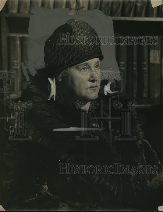 1924 Press Photo Mrs. Patrick Sexton, Son Shot in Chicago Courtroom - nef43821