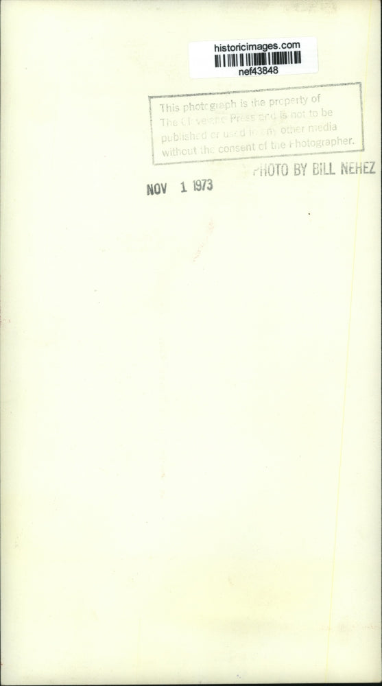 1973 Press Photo Flags Being Raised by Iron Workers - nef43848