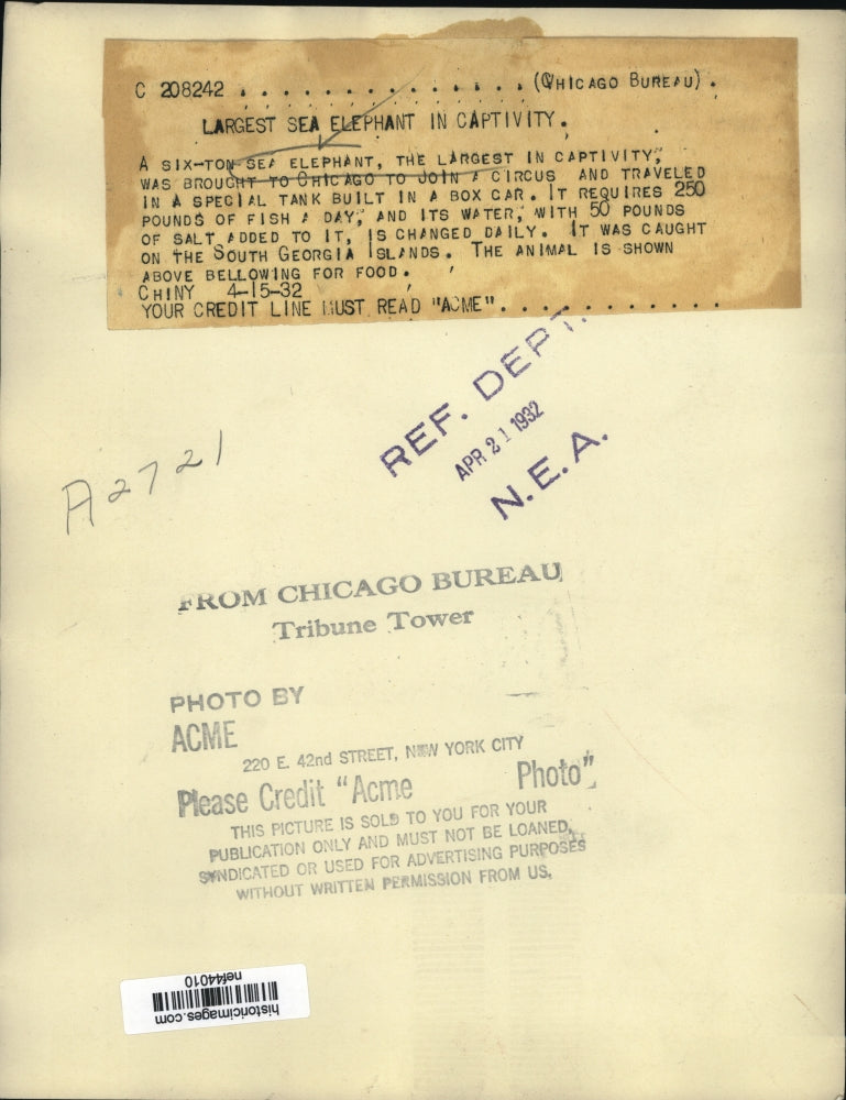 1932 Press Photo Elephant Seal Brought to Chicago for Circus - nef44010