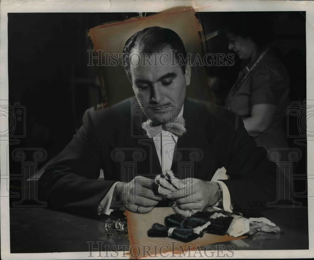 1946 Press Photo Michael Roberts Inserts Tie Clips on Russian Ermine
