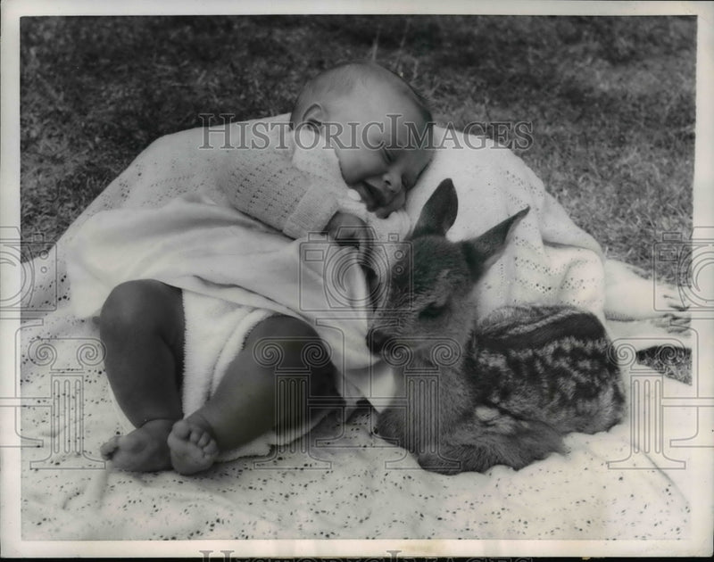 Load image into Gallery viewer, 1957 Press Photo Baby Robert Hughes &amp; Baby Fawn in Bournemouth, England
