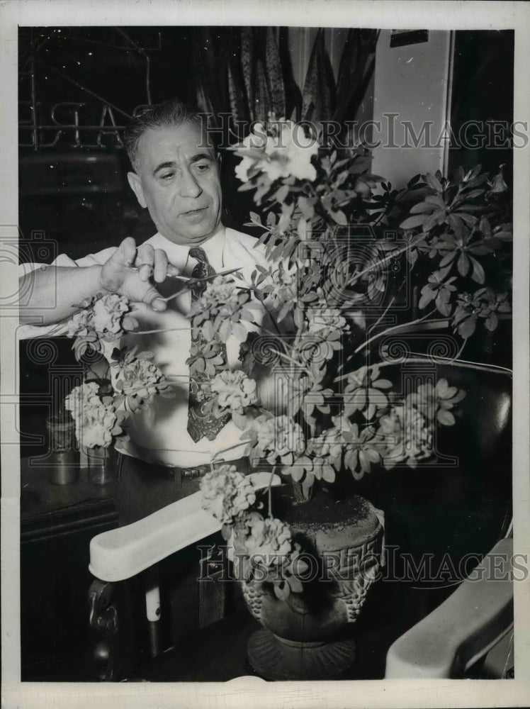 1946 Press Photo Joseph Abinanti Chicago Barber w/ Azalea Plant Blooming Orchids