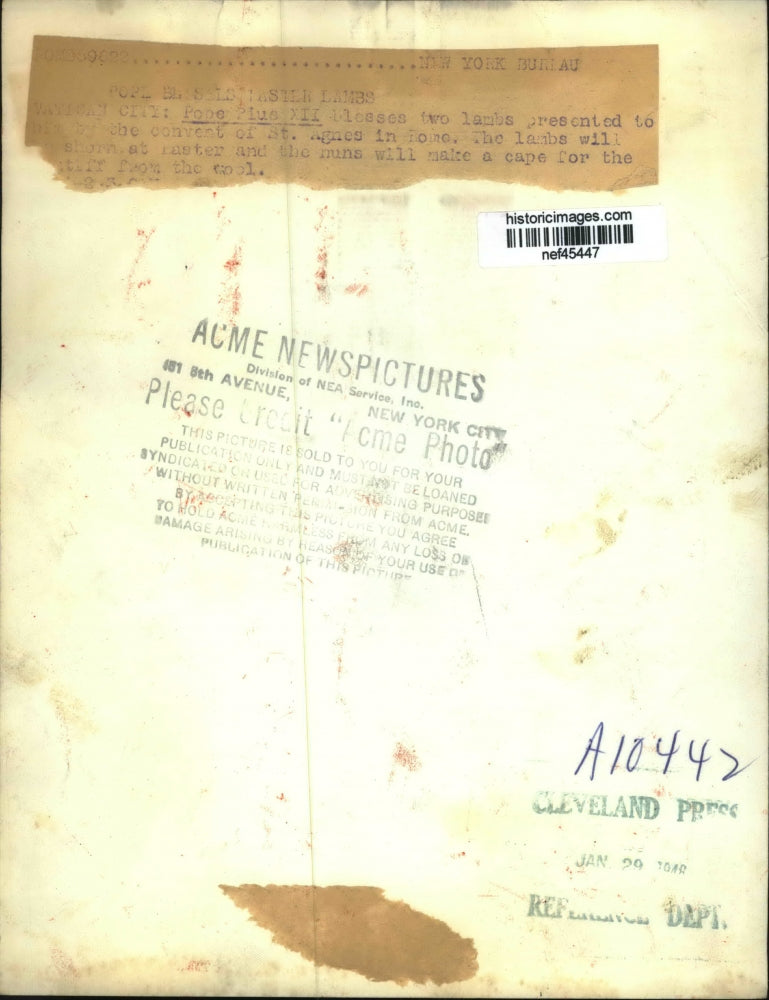 1946 Press Photo Pope Pius XII Blessing Lambs at St. Agnes Convent, Rome