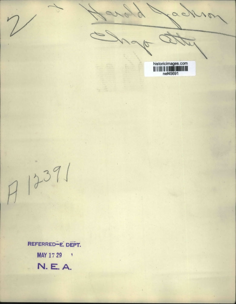 1929 Press Photo Harold Jackson Chicago Attorney - nef45691