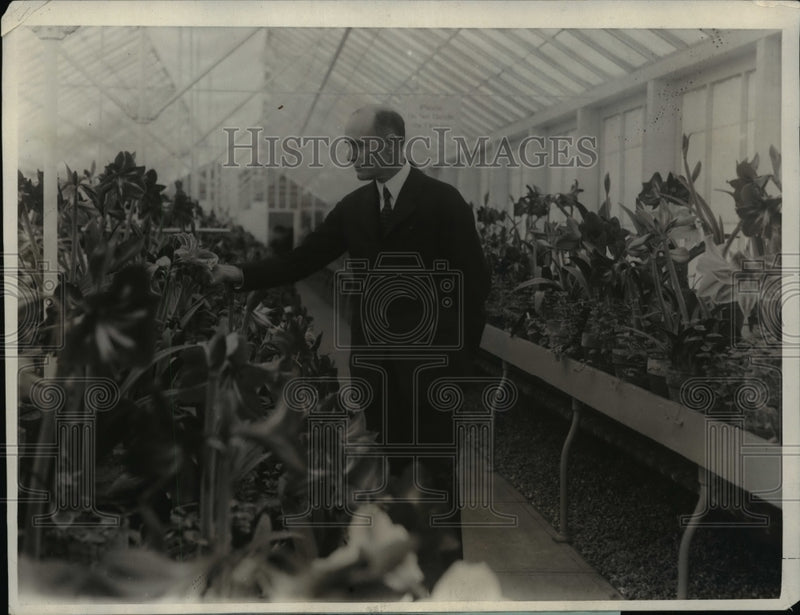 Load image into Gallery viewer, 1925 Press Photo New Ag Secretary Jardino Becomes Acquainted with His Flowers
