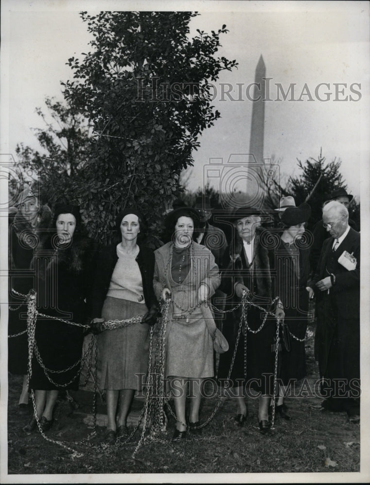 1938 Press Photo Protesting women for removal of Capital Famed Cherry Trees