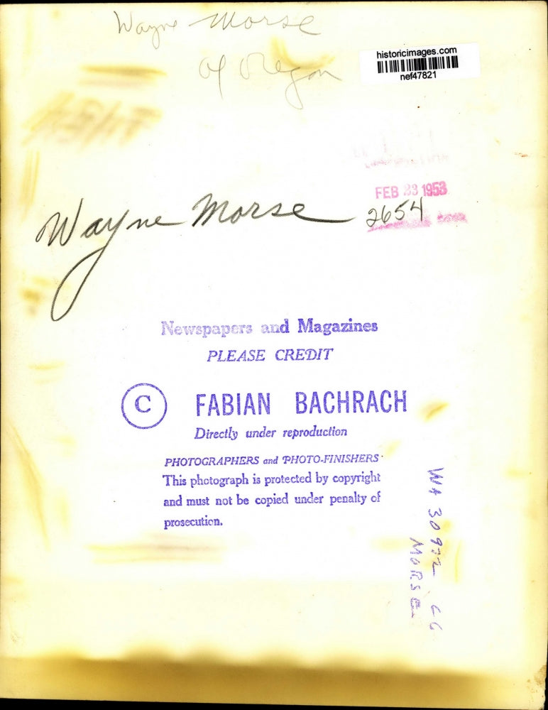 1953 Press Photo Wayne Morse - nef47821