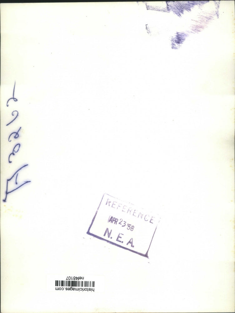 Load image into Gallery viewer, 1958 Press Photo Leslie Caldon mother of Lawrence found dead in the Woods
