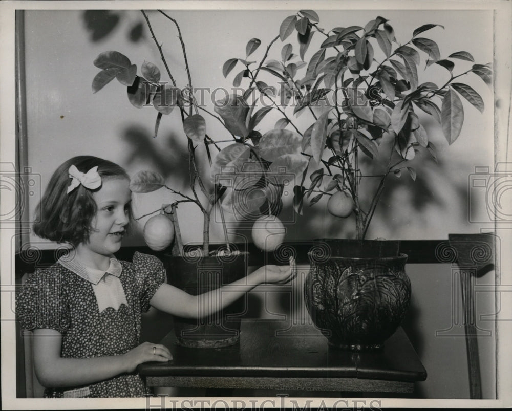 1939 Press Photo Patricia Larisseys Shown Admiring Orange & Lemon Trees