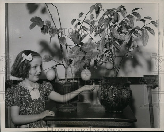 1939 Press Photo Patricia Larisseys Shown Admiring Orange & Lemon Trees
