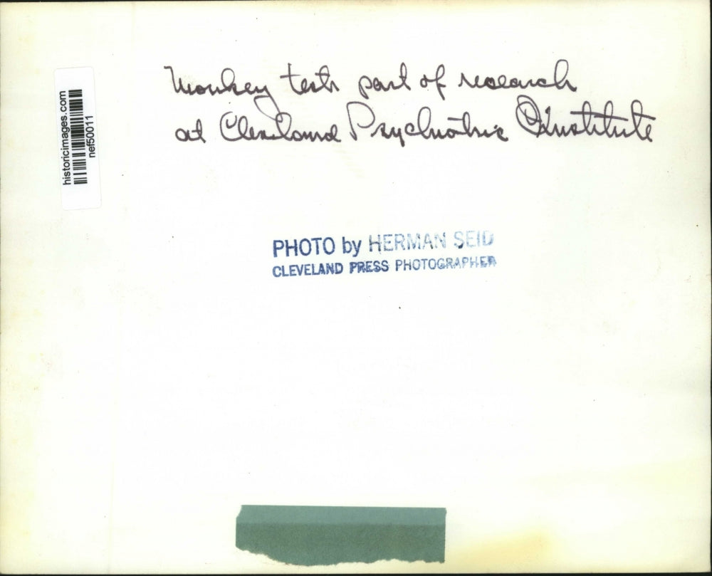 Press Photo Monkey at Cleveland Psychiatric Institute - nef50011