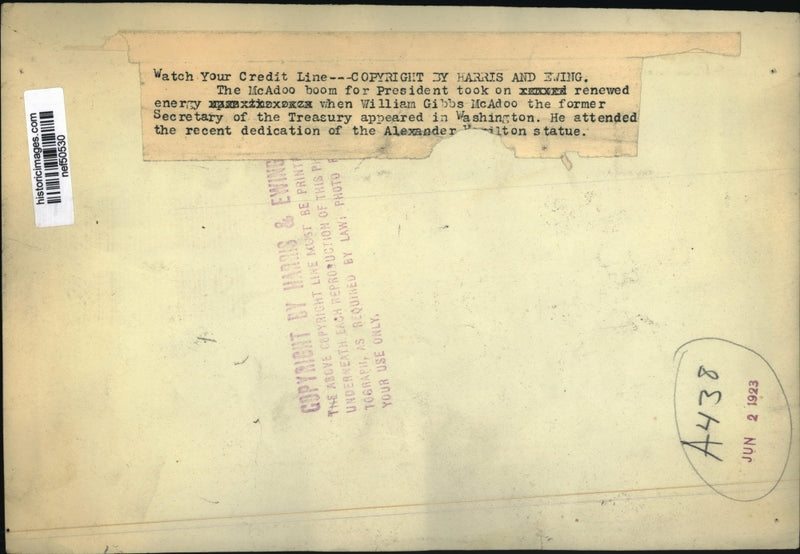 Load image into Gallery viewer, 1923 Press Photo McAdoo Boom for Pres Took on Energy When He Appeared in D.C.
