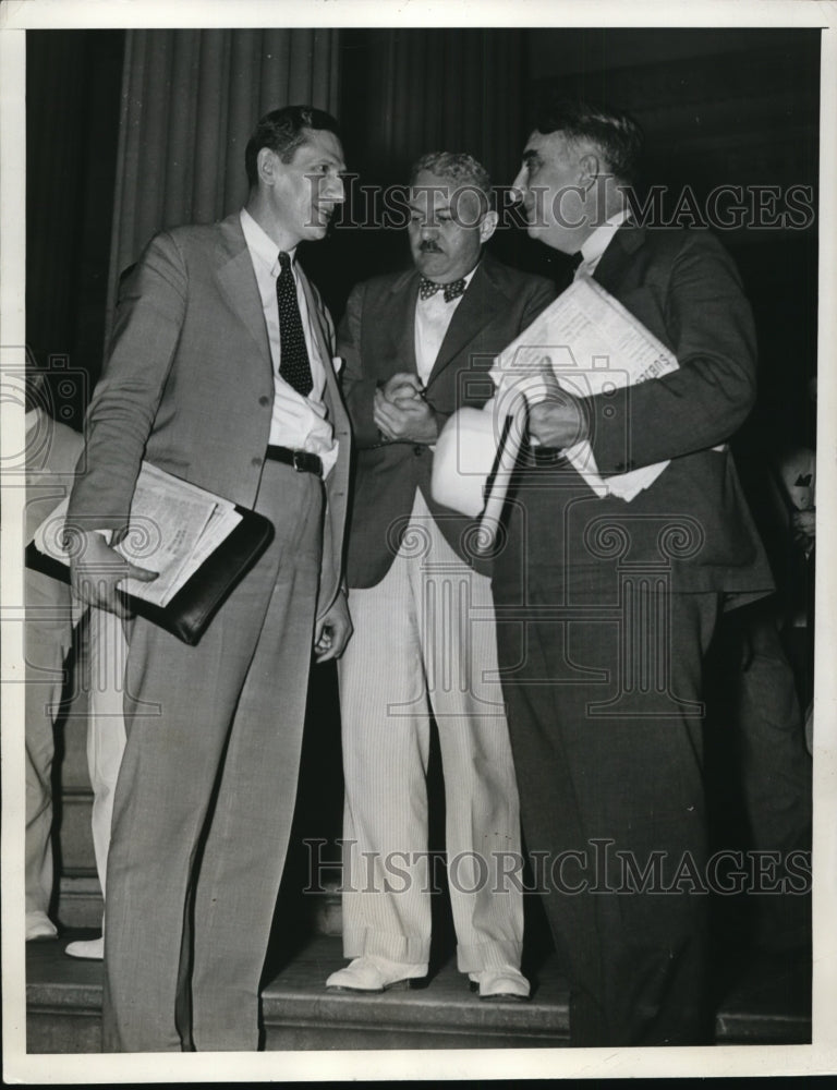 1935 Press Photo West, Buck, Vinson hold a night conference on Capital steps