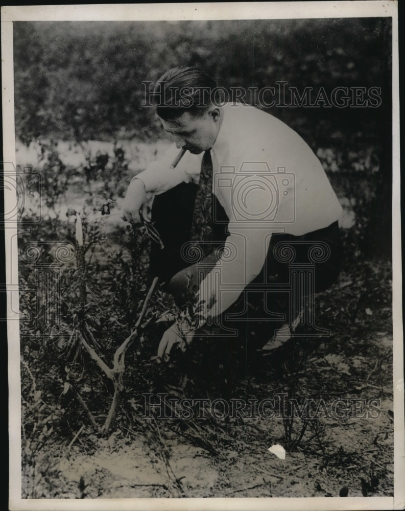 1934 Pres Photo While Picking Berries John Broom Found Murdered Unidentified Man