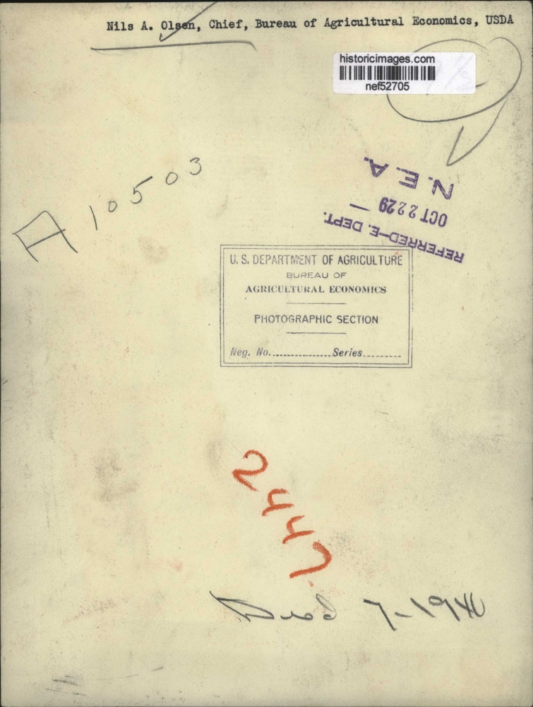 1929 Press Photo Nils Olsen Chief of Bureau of Agricultural Economics, USDA