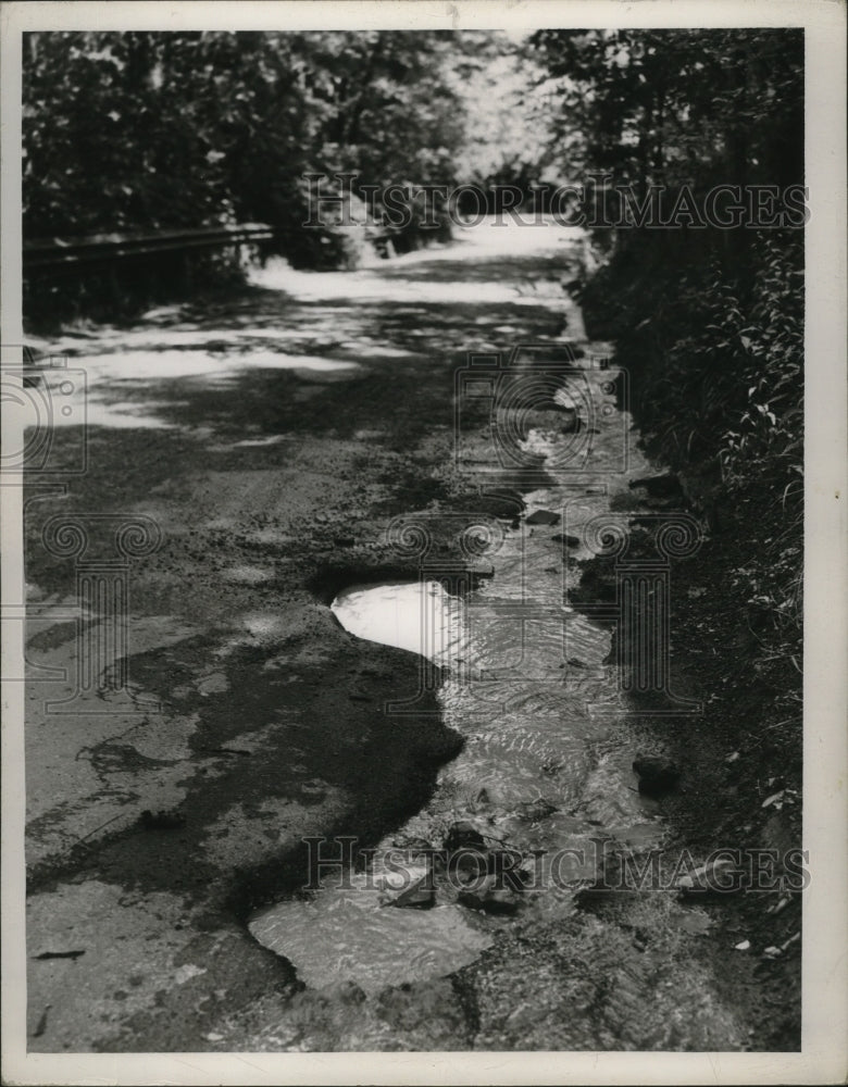 1950 Press Photo Puritas Springs Park Country Road, Cleveland, Ohio - nef53341