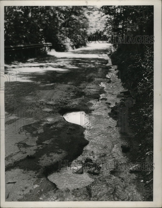 1950 Press Photo Puritas Springs Park Country Road, Cleveland, Ohio - nef53341