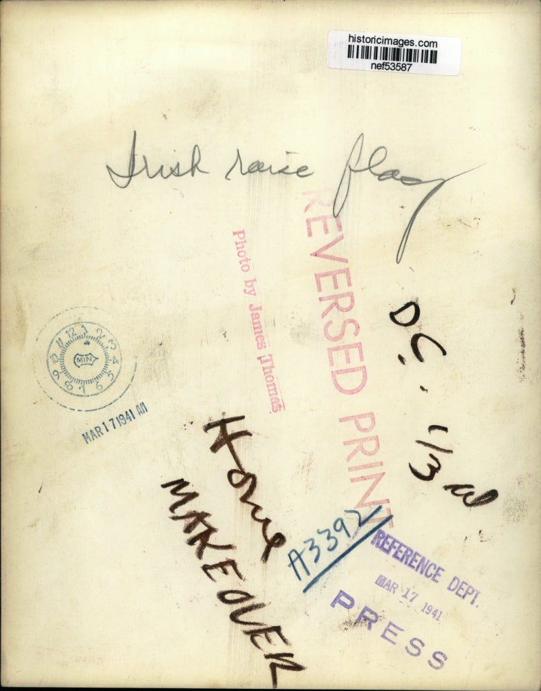 1941 Press Photo Irish flag being raised in Washington D.C. - nef53587