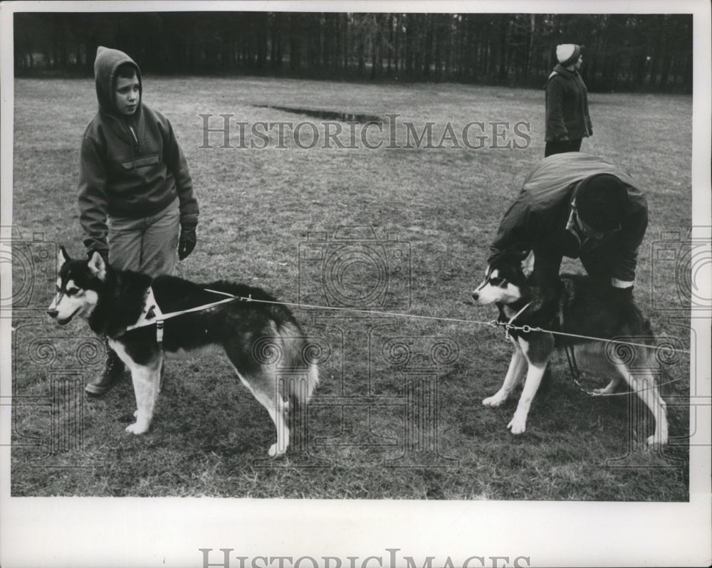 1965 Press Photo Jeffery Clark with "Furlin" Who is Lead Dog in Team - nef53622